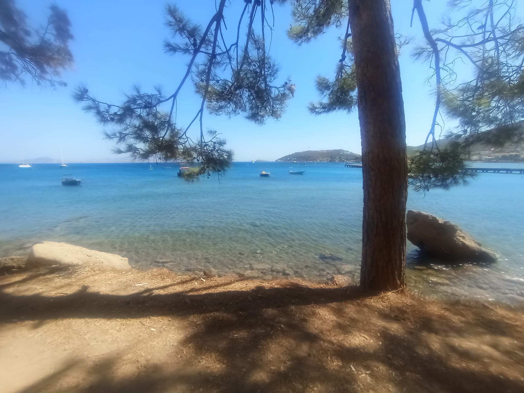 W. Antic Pansiyon görsel 3