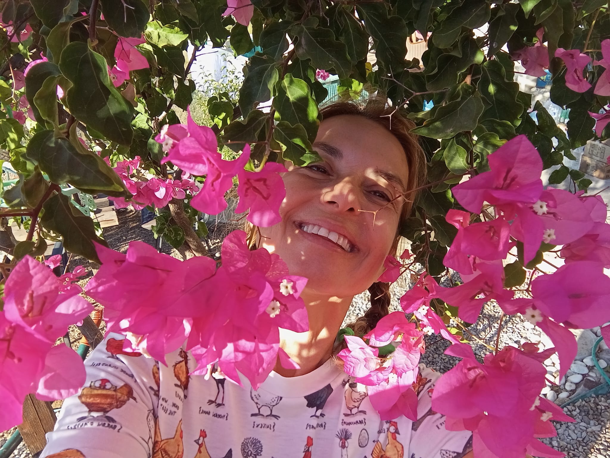 W. Antic Pansiyon görsel 4